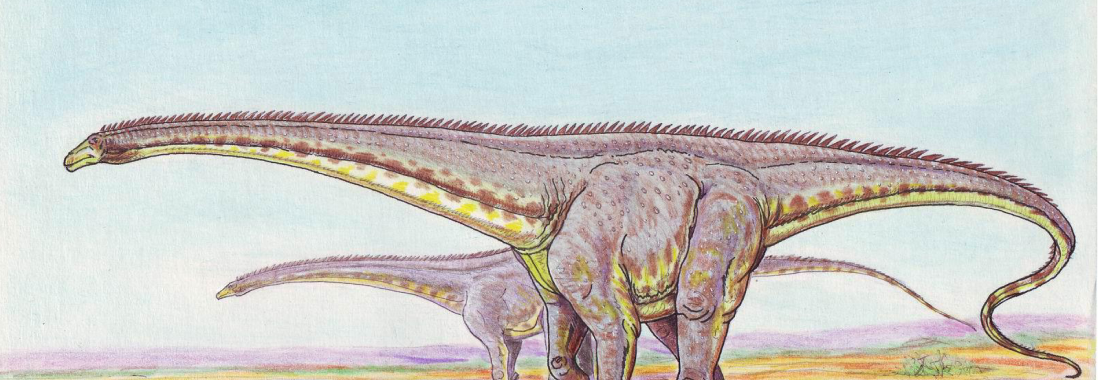 Dinheirosaurus lourinhanensis